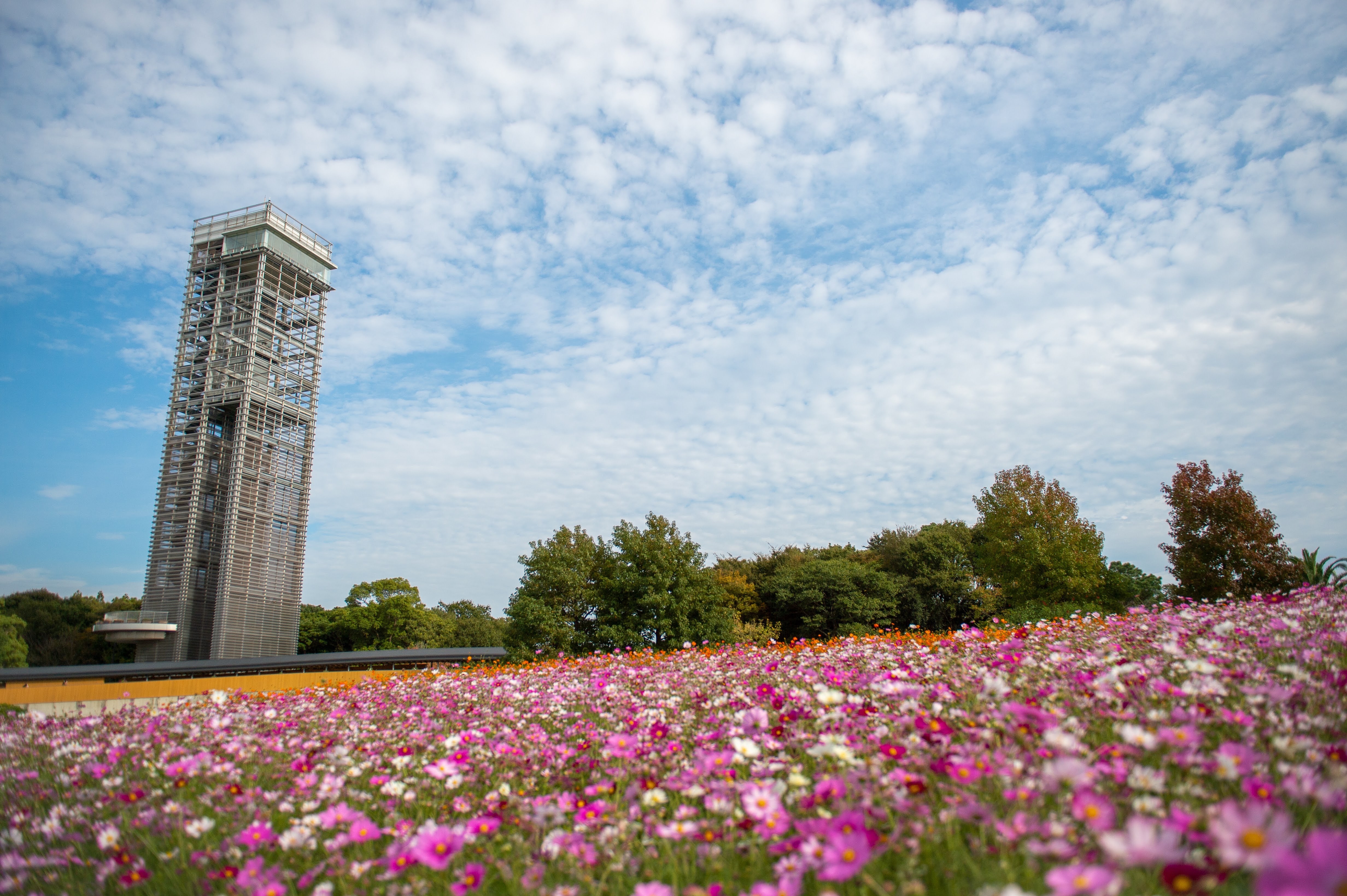 ガーデンロゼ弁天 公園