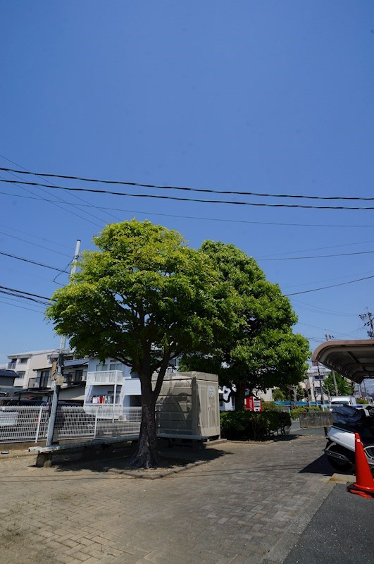 ピアンテ四ツ池 その他共有部分