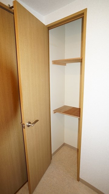 ルミナス その他