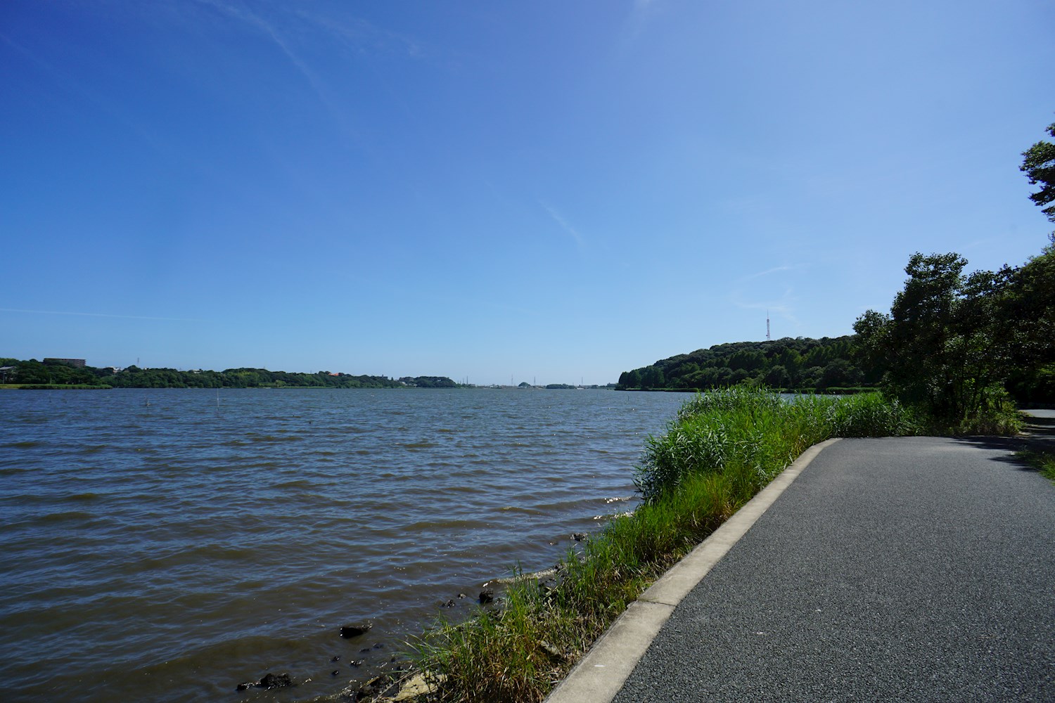 グレース名倉 公園