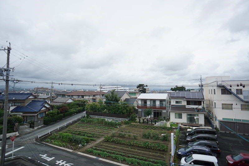 コンフォート 眺望