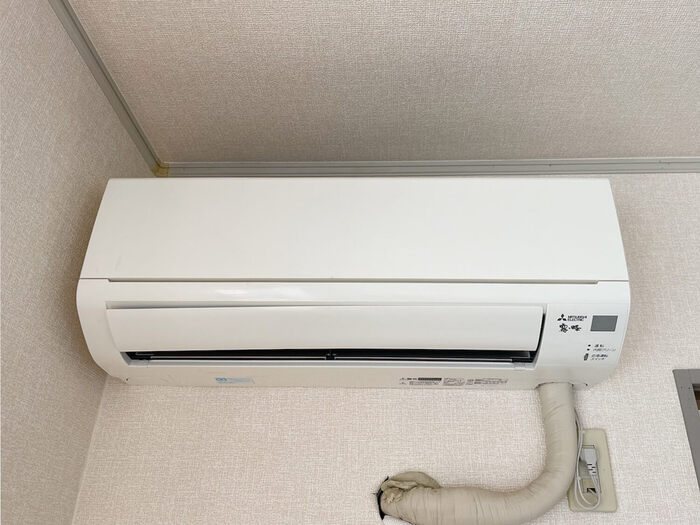ボナール その他