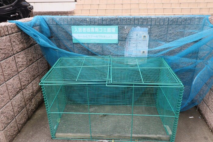 さくら その他