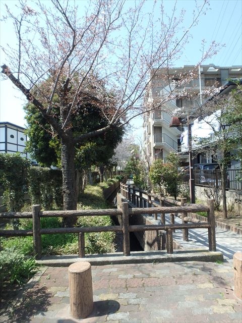埼玉県さいたま市南区文蔵３丁目 公園