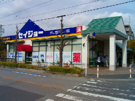 埼玉県川口市芝塚原１丁目 ドラッグストア