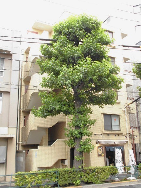 その他外観1