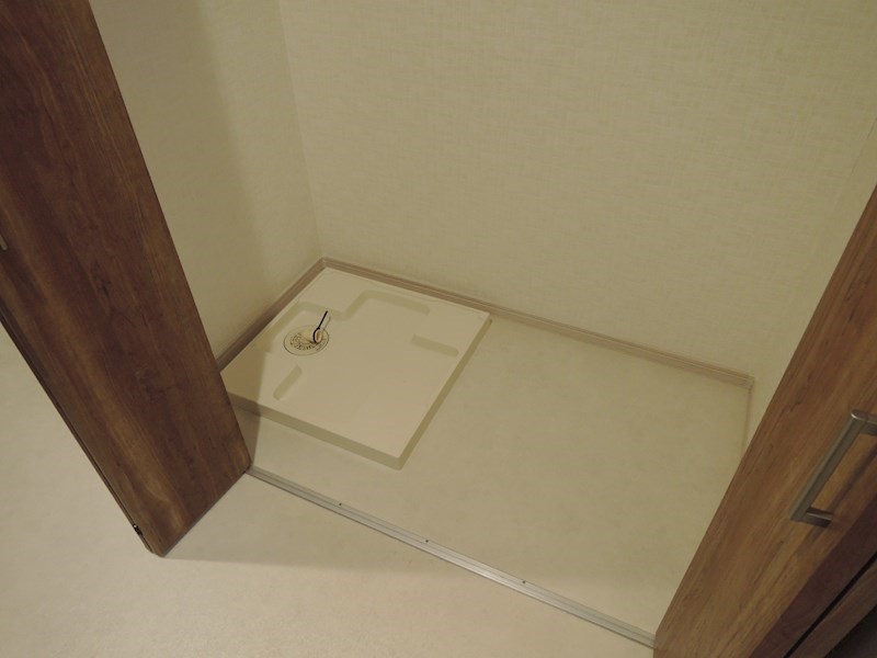 岸里東1丁目戸建 賃貸 洗面所