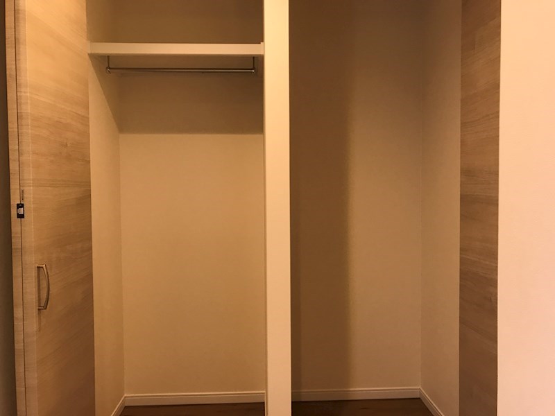 清水丘2丁目戸建賃貸 収納