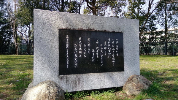 津守第一マンション 公園