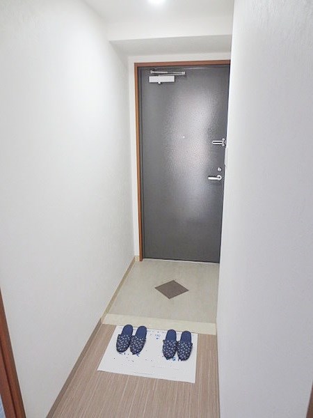 南海ハイライズフラット天下茶屋 玄関
