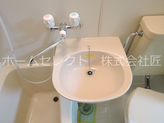 シャトーエリ 洗面所