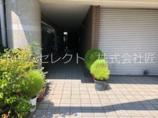 パセオ 庭