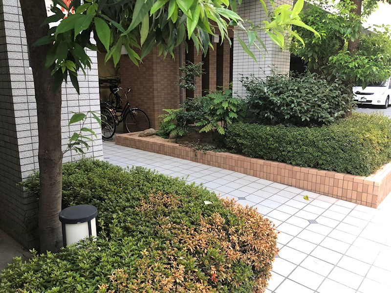 サウスシックス 庭
