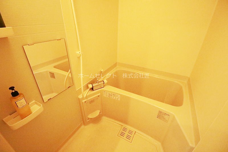 FDS BIJOU SUITESⅢ 風呂画像