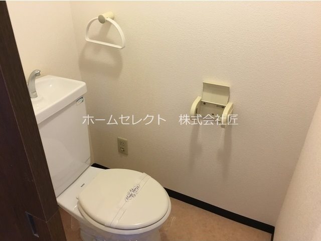 ステラ その他