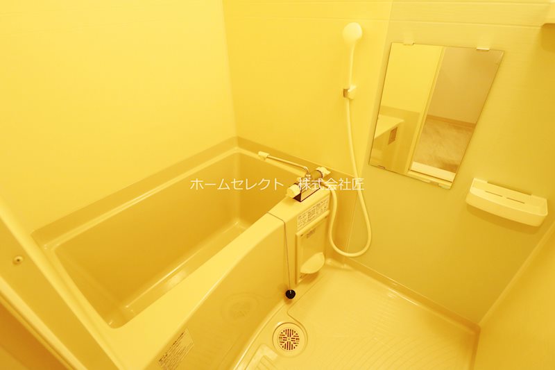F asecia Rio  風呂画像