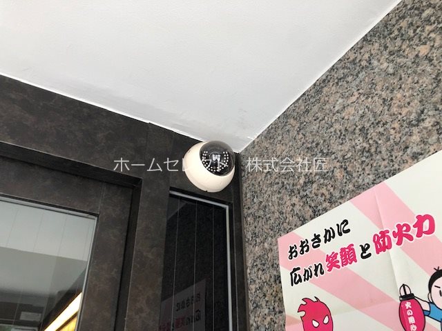 ステラ その他