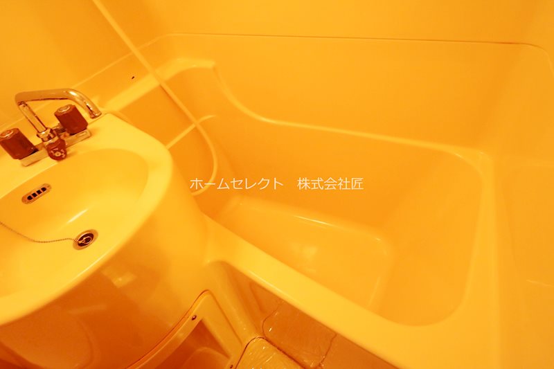 ロイヤルヴィラ 風呂画像