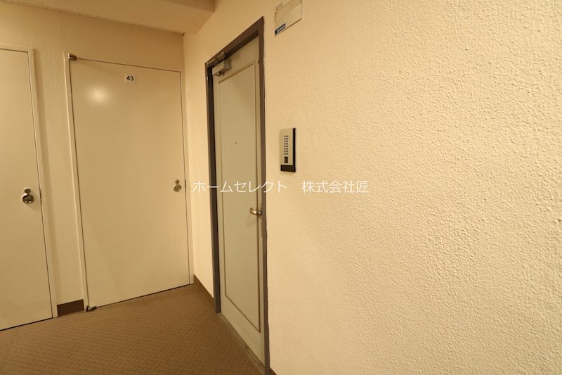 ステラ 玄関