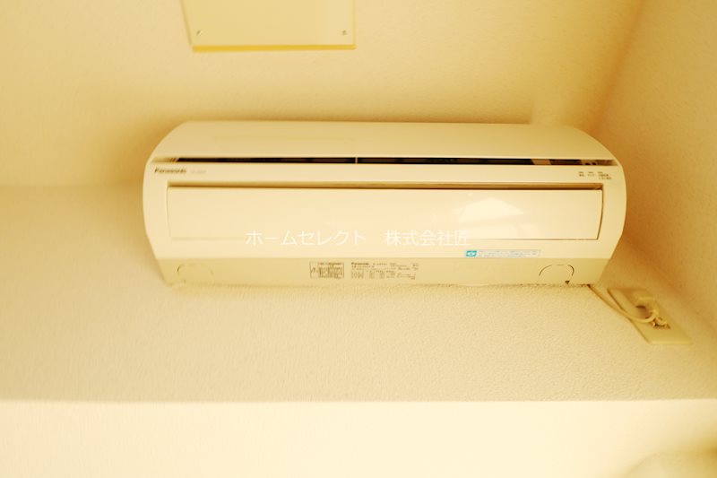 ステラ その他