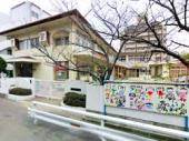 ステラ 幼稚園