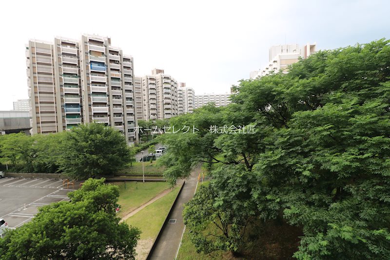 住吉第2団地11号棟 庭
