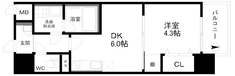 グランパシフィックパインリュクス 間取り