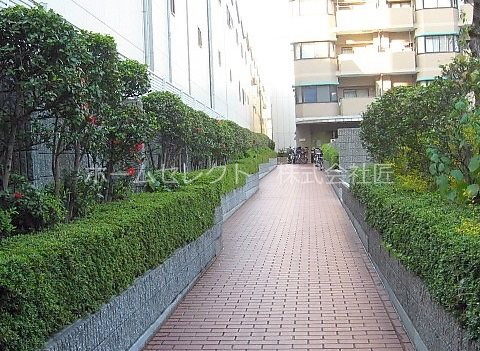 マンシオンタイラ 庭