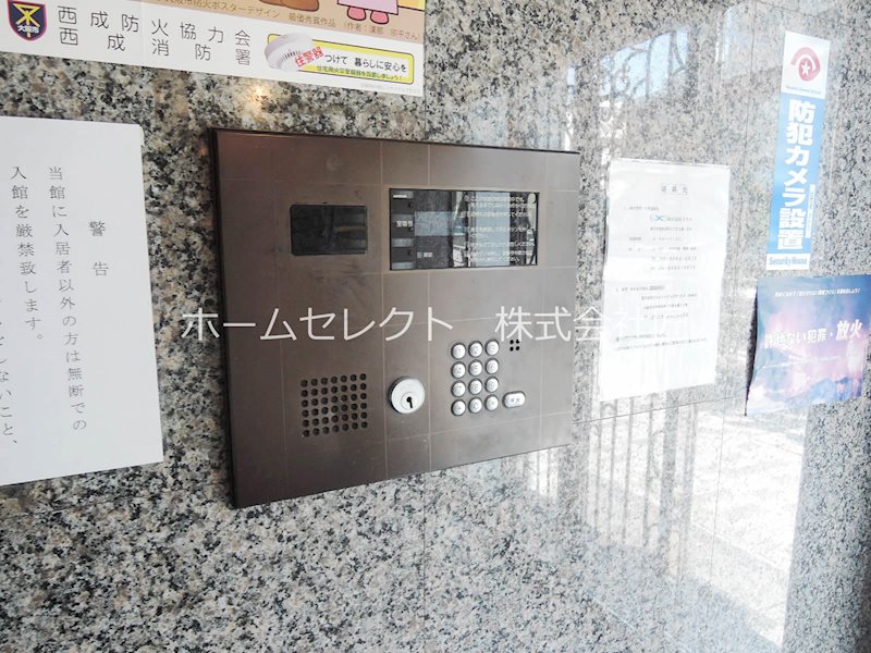 ステラ セキュリティ