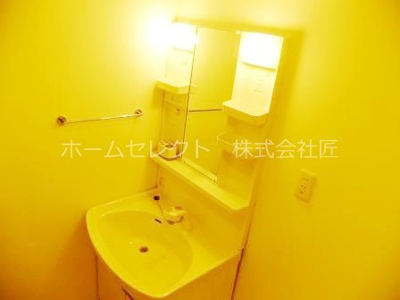 メゾンビトロ2 洗面所