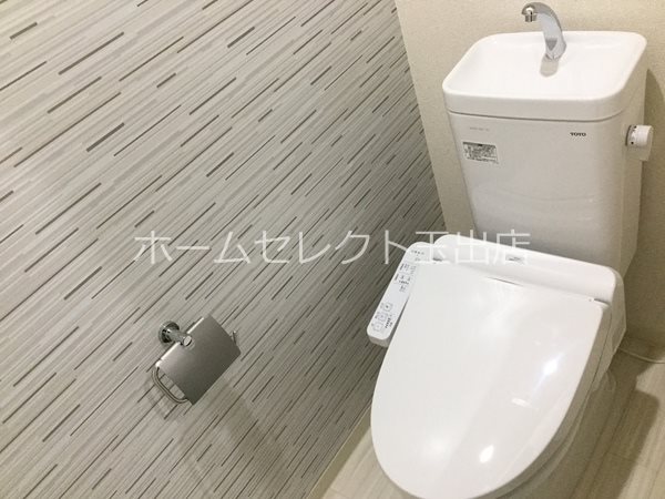 イゾラ　フォルトゥーナ その他