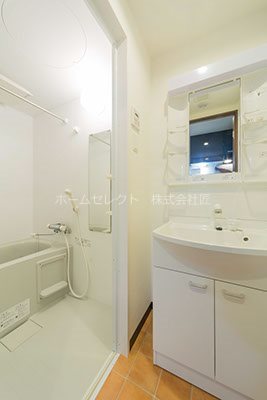 グランパシフィック岸里東 洗面所