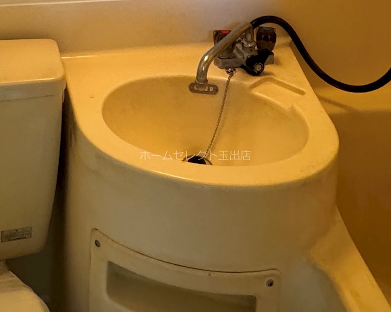 マンションアイリス 洗面所