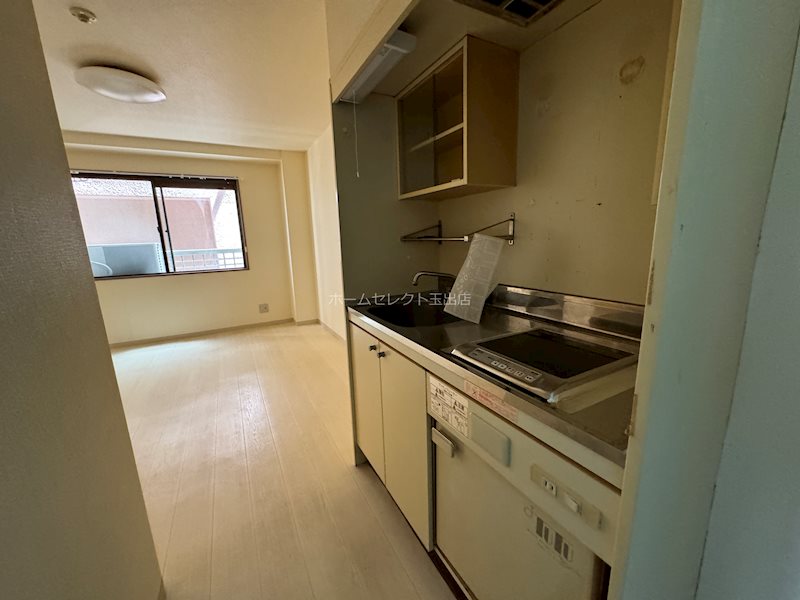 マンションアイリス その他