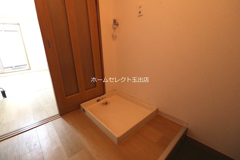 ステラ その他