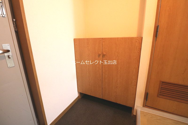 ステラ その他