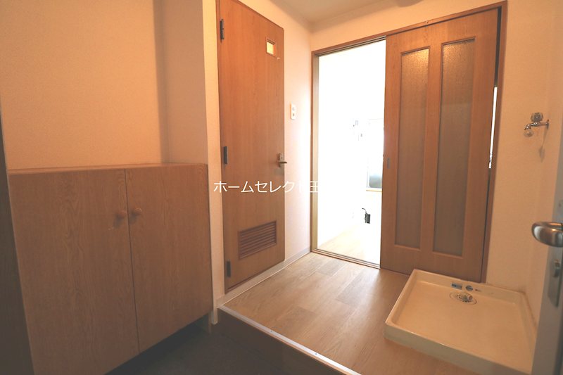 ステラ その他