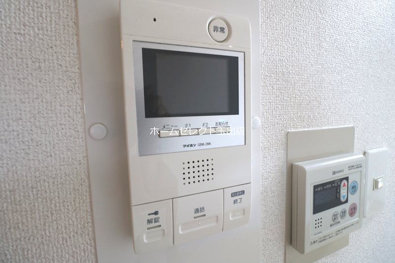 ステラ その他