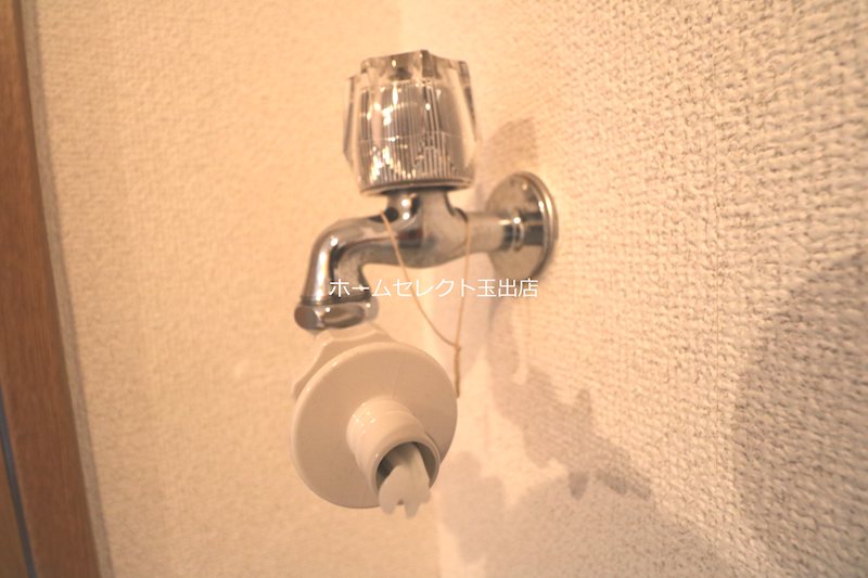 ステラ その他