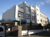 ステラ 小学校