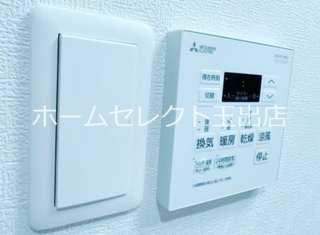 F asecia algol その他
