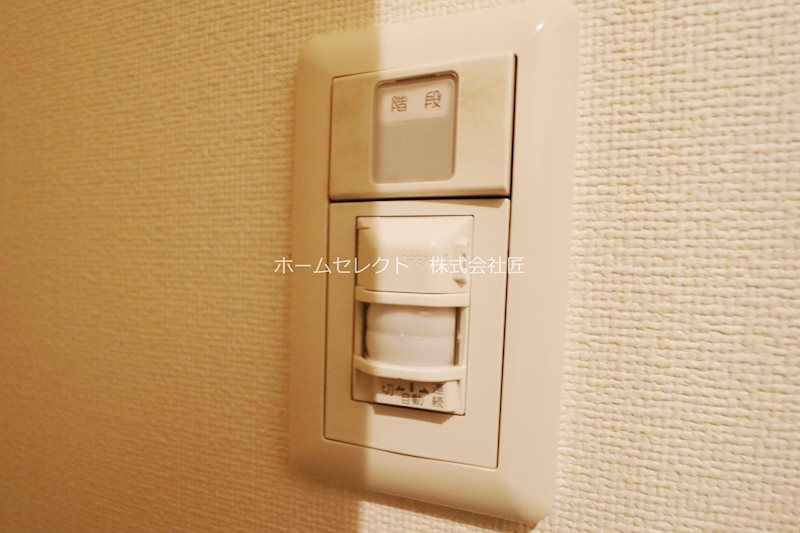 スプリングソナタ その他