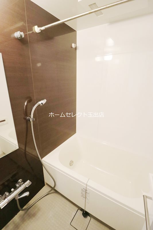 スプリングソナタ その他