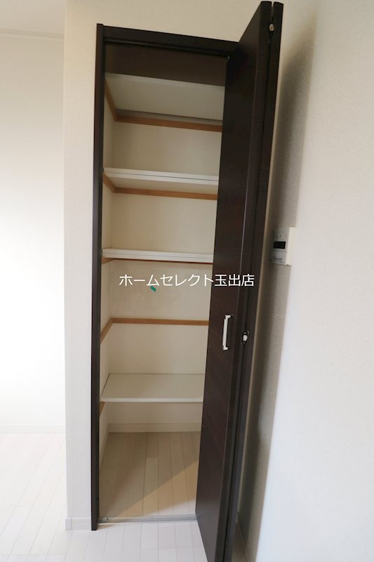 スプリングソナタ その他
