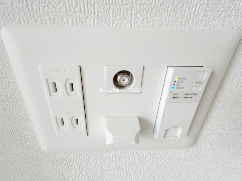 F asecia Irifi その他