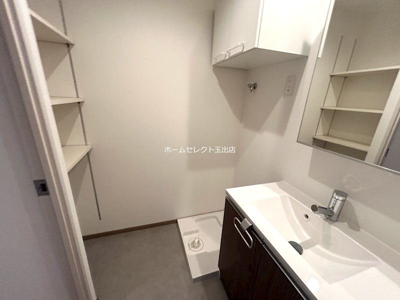 ウェルスクエア帝塚山 洗面所