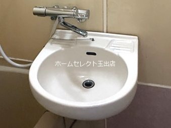 ジョイフルミサキ 洗面所
