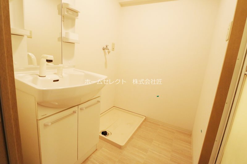 メゾン琵琶 洗面所