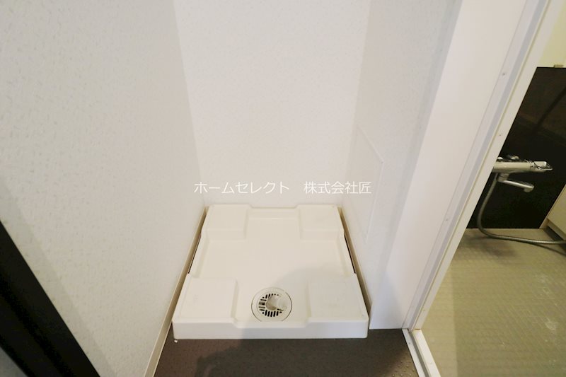 スプリングソナタ その他