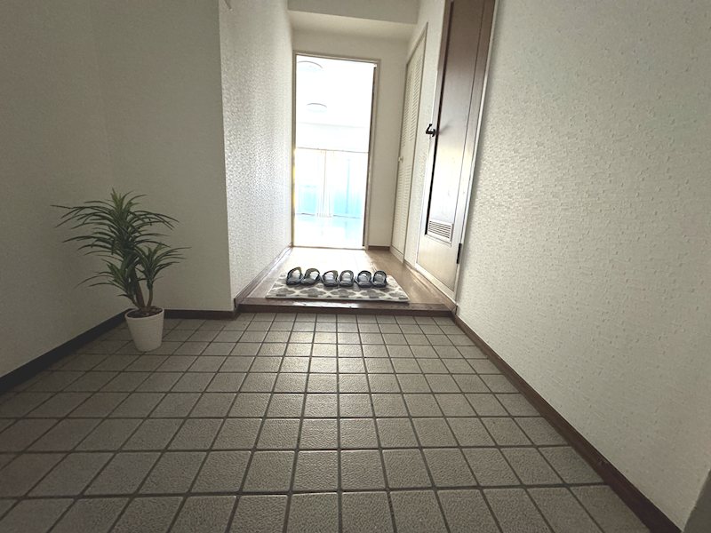 デュモール住之江 玄関